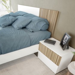 TEMPUS Cabezal + 2 mesitas