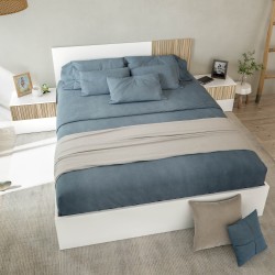 TEMPUS Cabezal + 2 mesitas